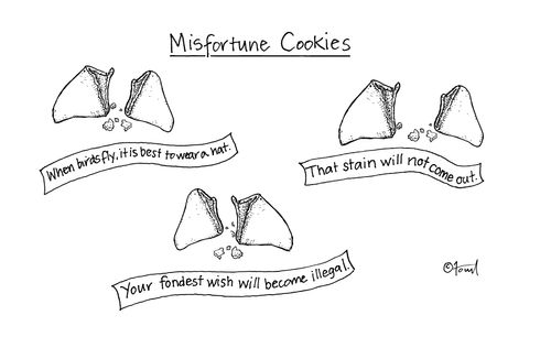 Misfortune cookies