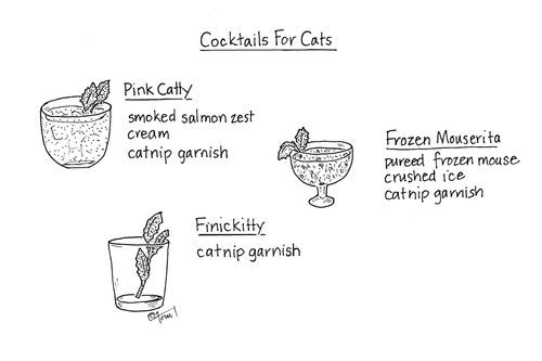 Cat Cocktails