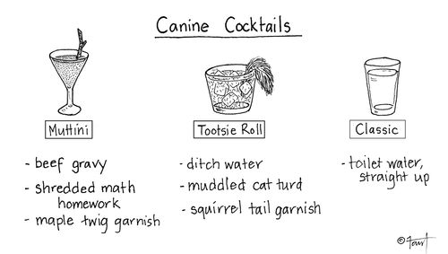 Cocktails for dogs