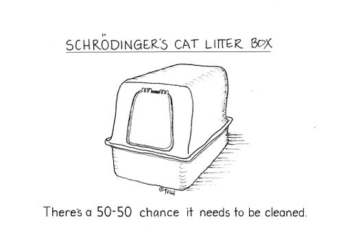 Schrodinger's Cat Litter Box 
