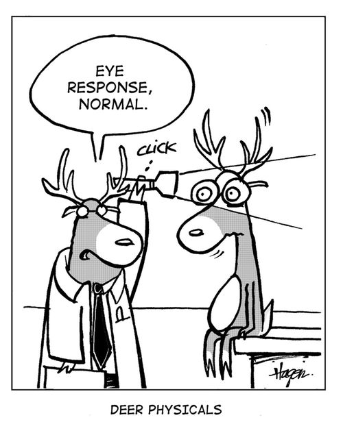 'Eye response, normal.'  - Deer Physicals.