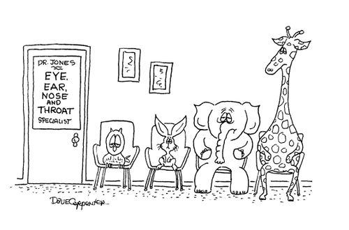 Eye, ear, nose and throat specialist with owl, rabbit, elephant and giraffe in waiting room.