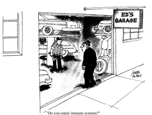 'Do you repair immune systems?'