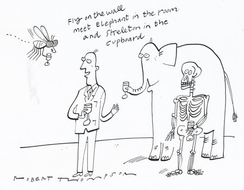 'Fly on the wall meet Elephant in the room and Skeleton in the cupboard.'