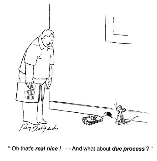 'Oh that's real nice! - And what about die process?'