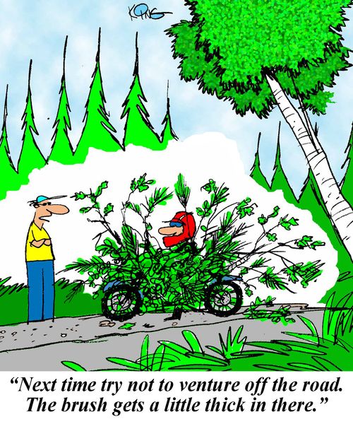 'Next time try not to venture off the road. The brush gets a little thick in there.'