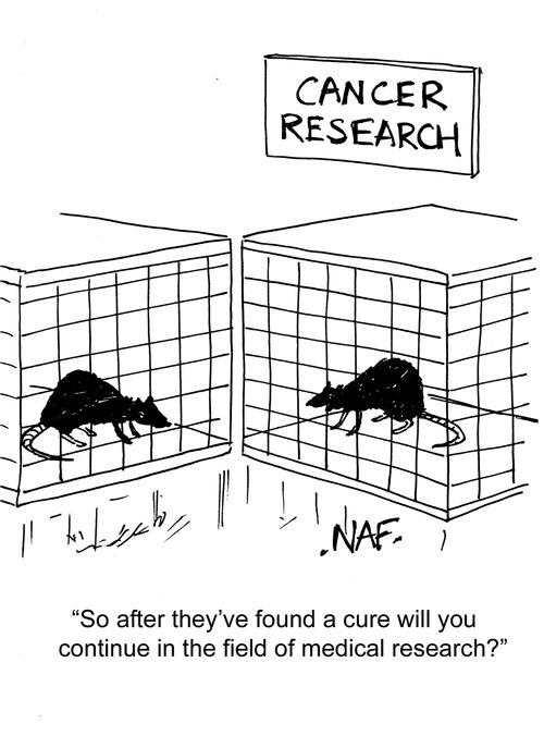 "After they've foudn a cure, will you continue in the field of medical research?"