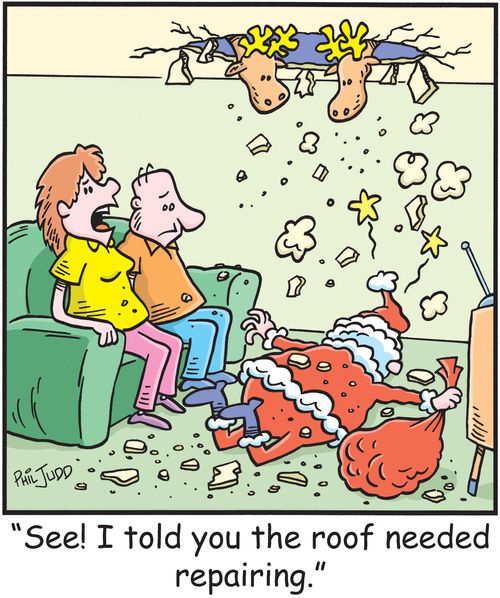 'See! I told you the roof needed repairing.'