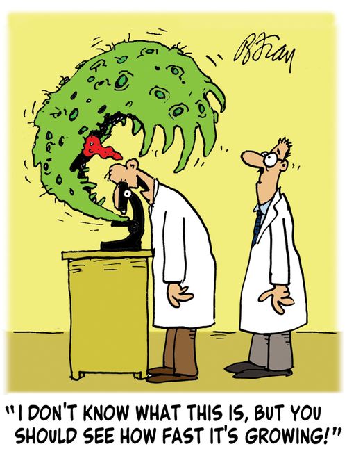 'I don't know what this is, but you should see how fast it's growing!'