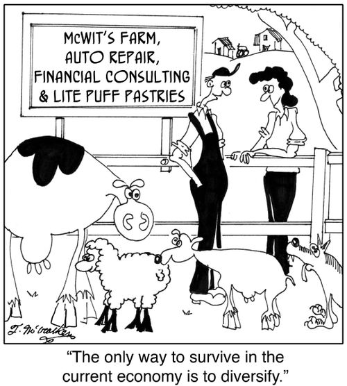  'The only way to survive in the current economy is to diversify.'