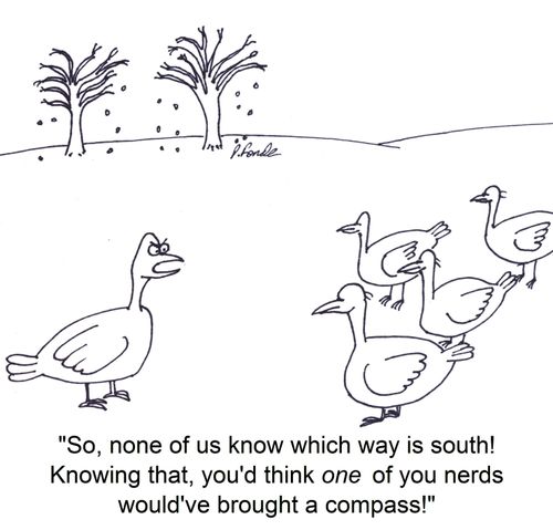 'So, none of us know which way is south! Knowing that, you'd think one of you nerds would've brought a compass!'