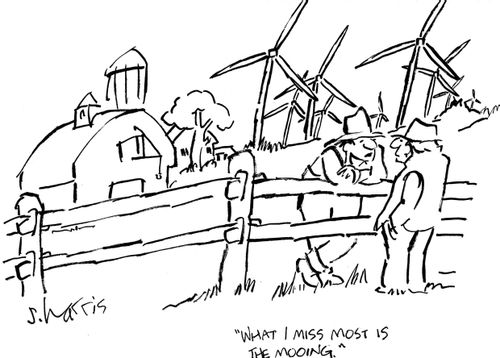 'What I miss most is the mooing.'