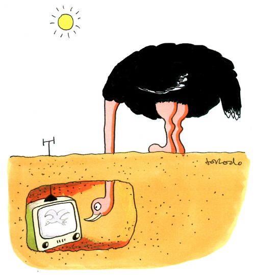 Ostrich has head in sand to watch TV set