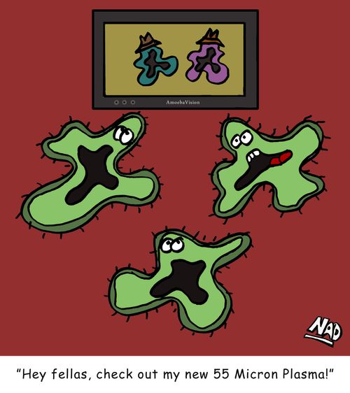 An amoeba is showing his friends his new Plasma TV - 'Hey fellas, check out my new 55 micron plasma!'