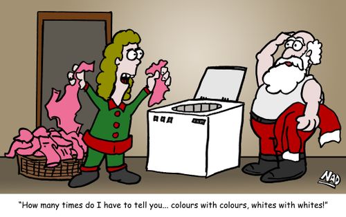 'How many times do I have to tell you... colours with colours, whites with whites!'