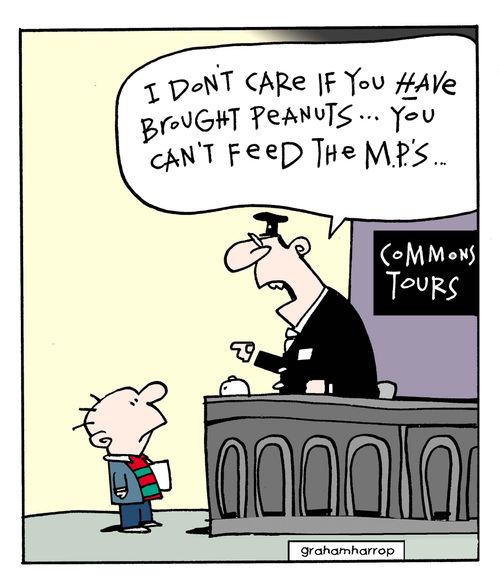 'I don't care if you have brought peanuts...you can't feed the MPs...'