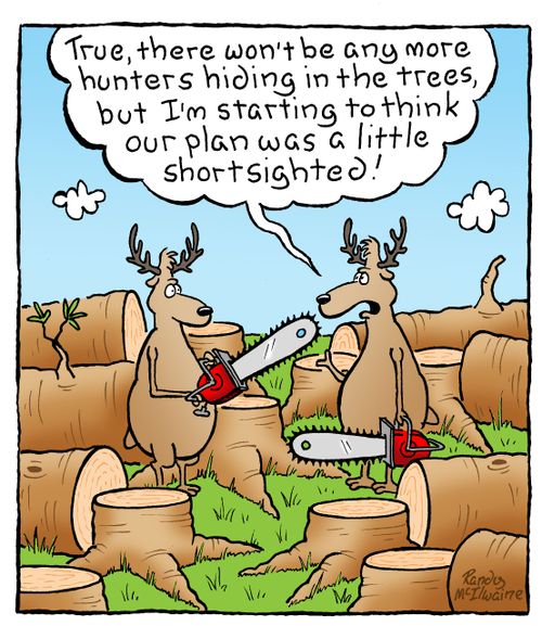 'True, there won't be any more hunters hiding in the trees, but I'm starting to think our plan was a little shortsighted!'
