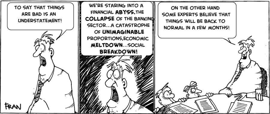 "To say things are bad is an UNDERSTATEMENT...We're staring into a FINANCIAL ABYSS, the COLLAPSE of the banking sector...On the other hand some experts believe that things will be back to normal in a few months ."