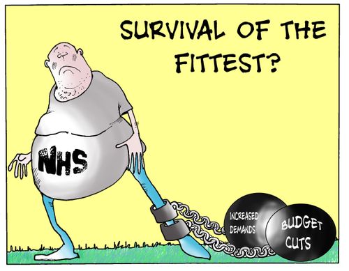 survival of the fittest