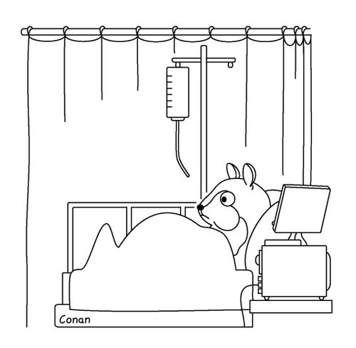 Hamster IV