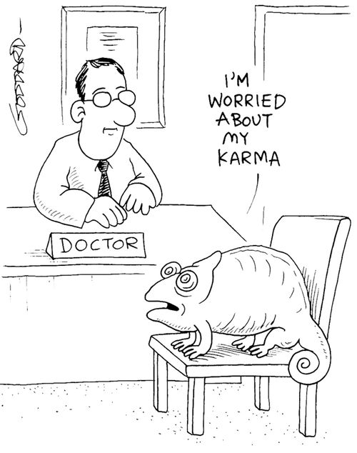Chamaeleon at doctors - 'I'm worried about my karma.'