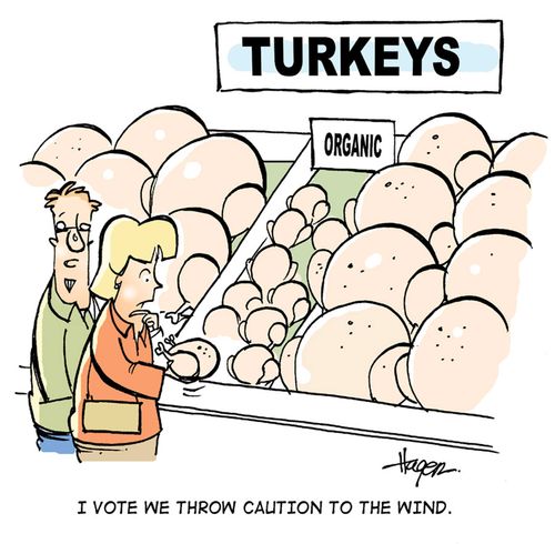 'I vote we throw caution to the wind.'