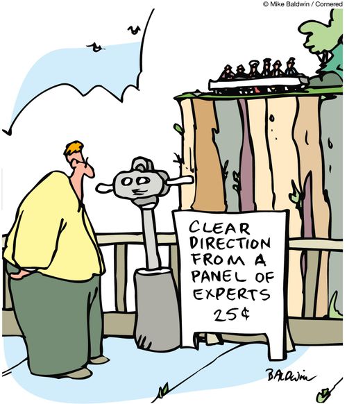 Clear direction from a panel of experts, 25?.