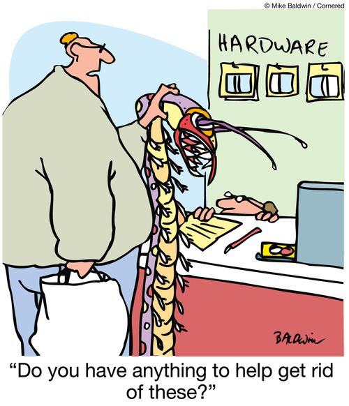 "Do you have anything to help get rid of these?"