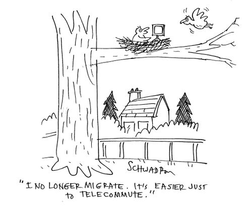 I no longer migrate. It's easier to just telecommute.
