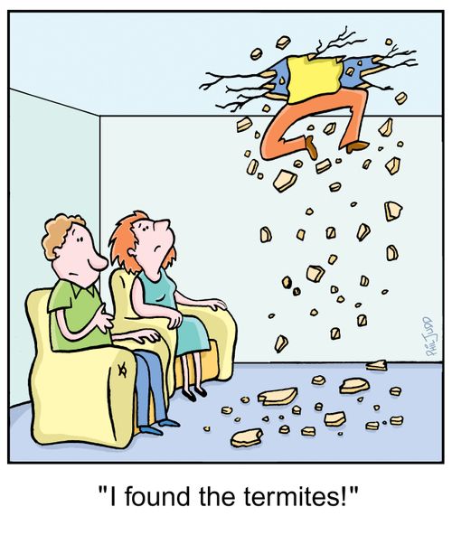 'I found the termites!'