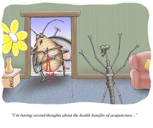 'I'm having second thoughts about the health benefits of acupuncture.'
