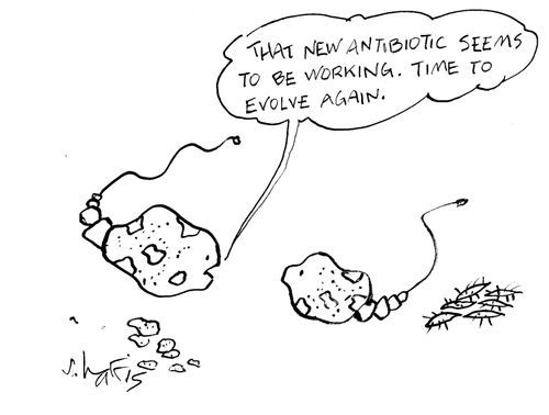 'That new antibiotic seems to be working. Time to evolve again.'