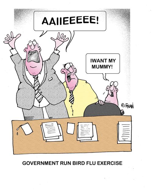 Government runs bird flu exercise.