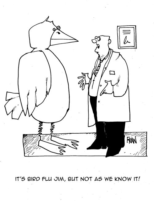 It's bird flu Jim,but not as we know it!