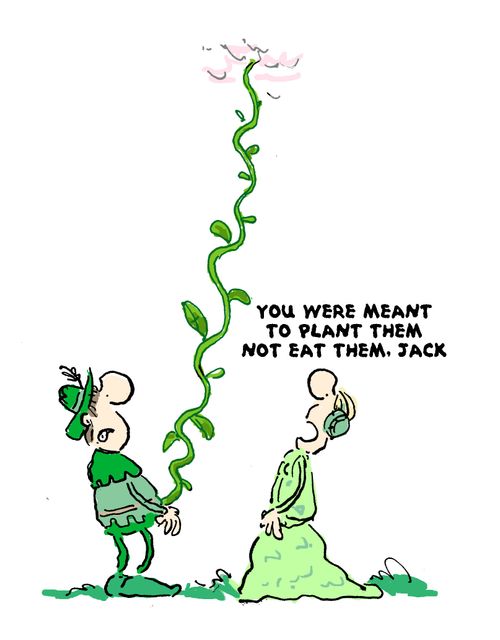 'You were meant to plant them not eat them, Jack.'