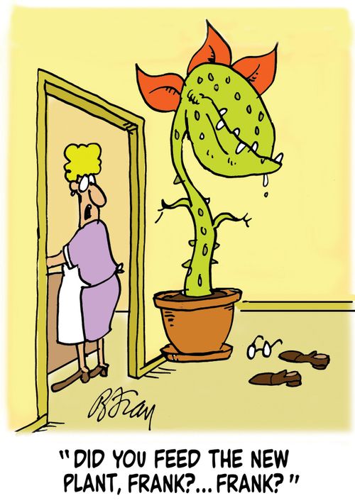 'Did you feed the new plant, Frank?...Frank?'