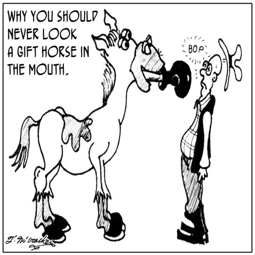Why you should never look a gift horse in the mouth.