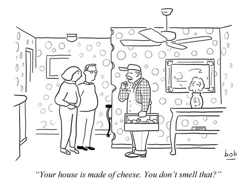 'Your house is made of cheese. You don't smell that?'