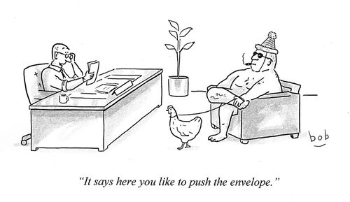 'It says here you like to push the envelope.'