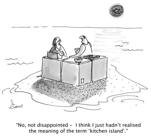 'No, not disappointed - I think I just hadn't realised the meaning of the term kitchen island.'