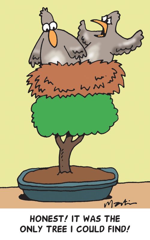 'Honest! It was the only tree I could find!'