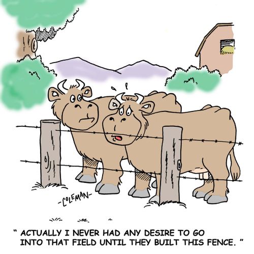 'Actually I never had any desire to go into that field until they built this fence.'