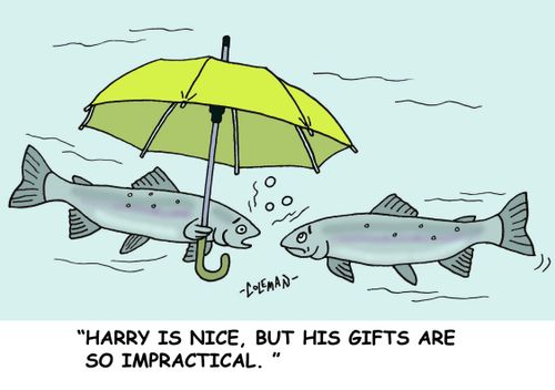 'Harry is nice, but his gifts are so impractical.'