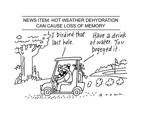 News Item: Hot weather dehydration can cause loss of memory.