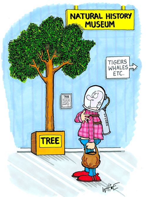 Natural History Museum: Tree