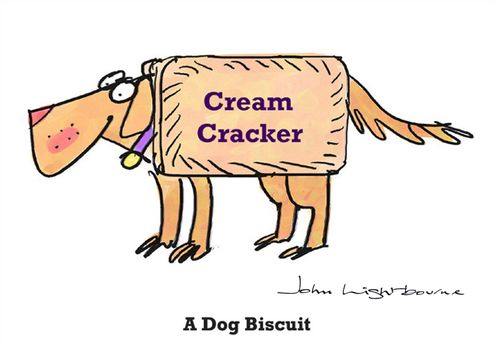 A dog biscuit