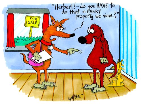 "Herbert! Do you have to do that in every property we view...?"