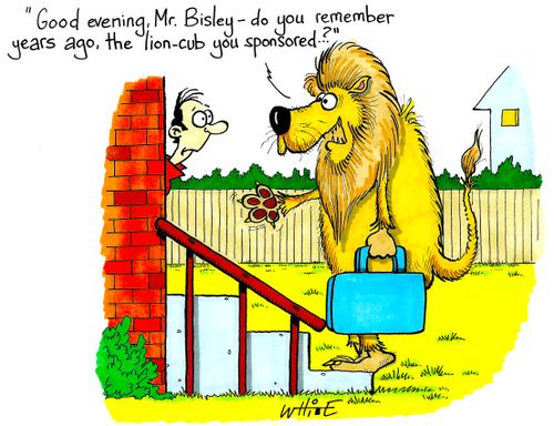"Good evening, Mr. Bisley - do you remember years ago, the lion-cub you sponsored...?"