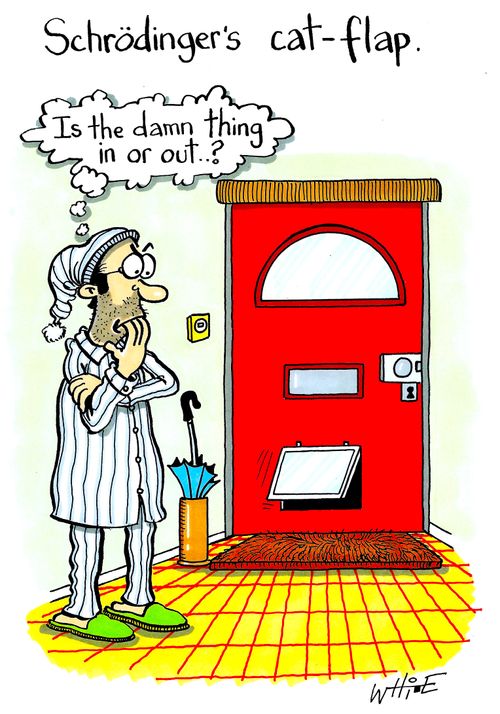 Schrodinger's cat flap
