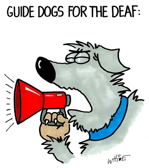 Guide dogs for the deaf